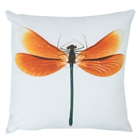 Cushion Dragonfly Outdoor 50x50
