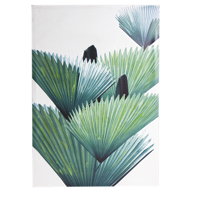 Painting - Print & Acrylic - Palm leaf