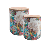 Multicolor Canister with lid set of 2