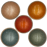 Bowl 18cm set of 10pcs      2pcs. in each color